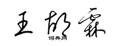 梁錦英王胡霖草書個性簽名怎么寫