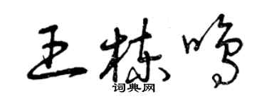 曾慶福王棟鳴草書個性簽名怎么寫