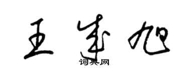 梁錦英王成旭草書個性簽名怎么寫