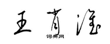 梁錦英王肖淮草書個性簽名怎么寫