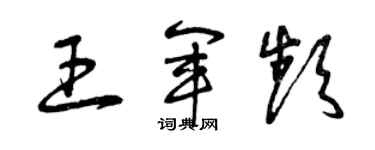 曾慶福王軍頻草書個性簽名怎么寫