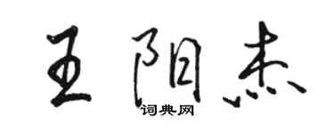 駱恆光王陽傑行書個性簽名怎么寫