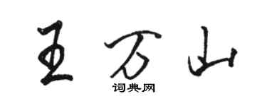駱恆光王萬山行書個性簽名怎么寫