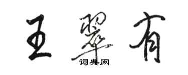 駱恆光王翠有行書個性簽名怎么寫