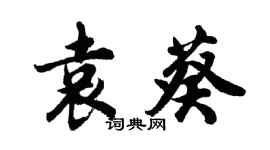 胡問遂袁葵行書個性簽名怎么寫