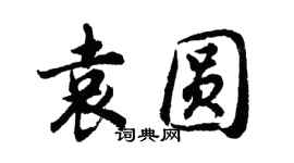 胡問遂袁圓行書個性簽名怎么寫