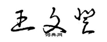 曾慶福王文登草書個性簽名怎么寫