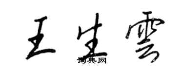 王正良王生雲行書個性簽名怎么寫