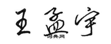 駱恆光王孟宇行書個性簽名怎么寫