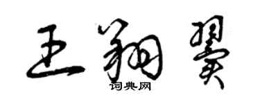 曾慶福王翔翼草書個性簽名怎么寫