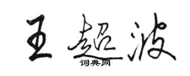 駱恆光王超波行書個性簽名怎么寫