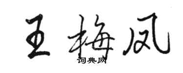 駱恆光王梅鳳行書個性簽名怎么寫