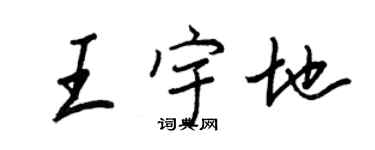 王正良王宇地行書個性簽名怎么寫