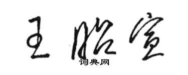 駱恆光王昭宣草書個性簽名怎么寫