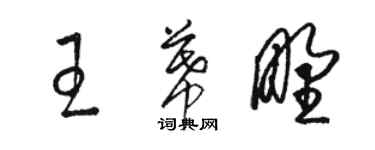 駱恆光王幕野草書個性簽名怎么寫
