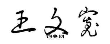 曾慶福王文寬草書個性簽名怎么寫