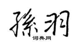 王正良孫羽行書個性簽名怎么寫