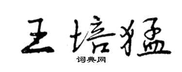 曾慶福王培猛行書個性簽名怎么寫