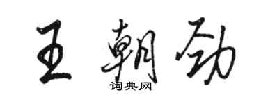 駱恆光王朝勁行書個性簽名怎么寫