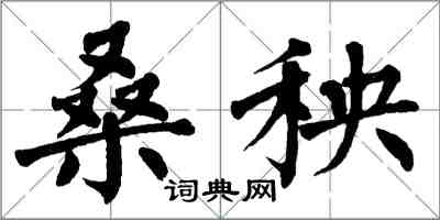 翁闓運桑秧楷書怎么寫