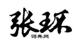 胡問遂張環行書個性簽名怎么寫
