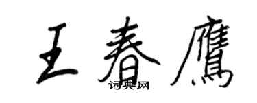 王正良王春鷹行書個性簽名怎么寫
