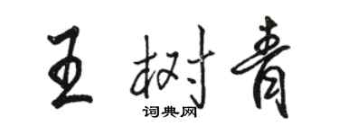駱恆光王樹青行書個性簽名怎么寫