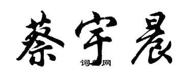 胡問遂蔡宇晨行書個性簽名怎么寫