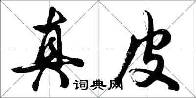 胡問遂真皮行書怎么寫