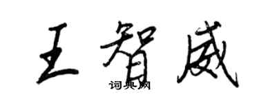 王正良王智威行書個性簽名怎么寫