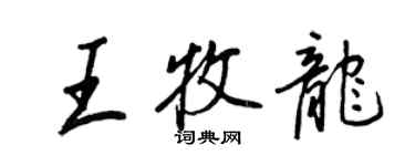 王正良王牧龍行書個性簽名怎么寫