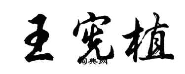 胡問遂王憲植行書個性簽名怎么寫