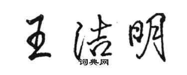 駱恆光王潔明行書個性簽名怎么寫