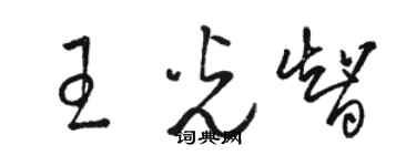 駱恆光王光智草書個性簽名怎么寫