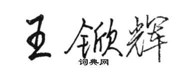 駱恆光王杴輝行書個性簽名怎么寫