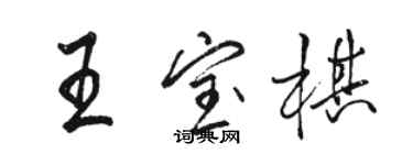 駱恆光王寶棋行書個性簽名怎么寫