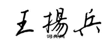 王正良王揚兵行書個性簽名怎么寫