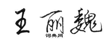 駱恆光王麗魏行書個性簽名怎么寫