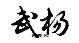 胡問遂武楊行書個性簽名怎么寫