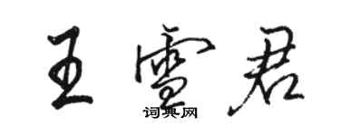 駱恆光王雪君行書個性簽名怎么寫