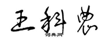 曾慶福王科農草書個性簽名怎么寫