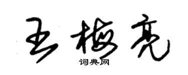 朱錫榮王梅亮草書個性簽名怎么寫