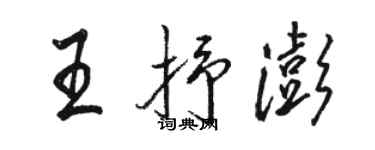 駱恆光王抒澎行書個性簽名怎么寫