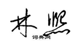 梁錦英林熙草書個性簽名怎么寫