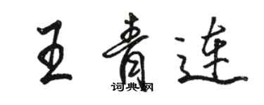 駱恆光王青連行書個性簽名怎么寫