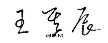 駱恆光王其辰草書個性簽名怎么寫