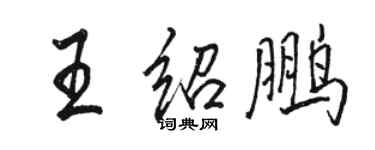 駱恆光王紹鵬行書個性簽名怎么寫