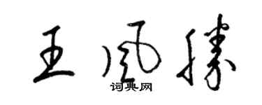 梁錦英王風勝草書個性簽名怎么寫