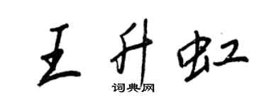 王正良王升虹行書個性簽名怎么寫