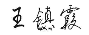 駱恆光王鎮霞行書個性簽名怎么寫